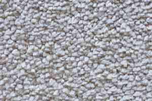 Ковролин AW Masquerade Narcisse 30 фото  | FLOORDEALER